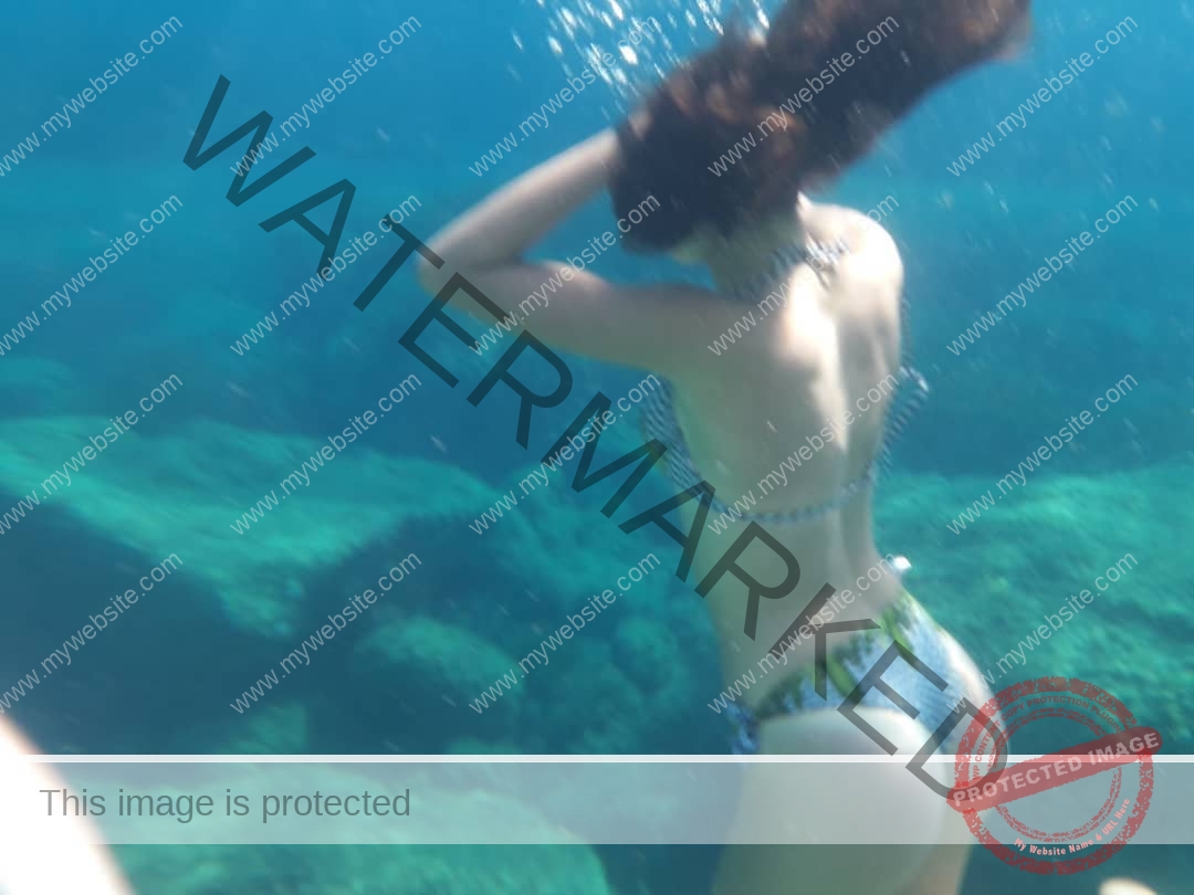 37134176_291034264800858_144556680649113600_n