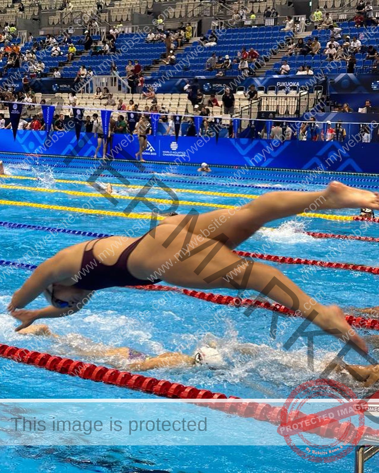 alondra-ortiz-costa-rica-alortizroman-522 Alondra Ortiz, a swimmer in a maroon suit, dives into a competition pool as others swim below in a large arena with blue banners.
